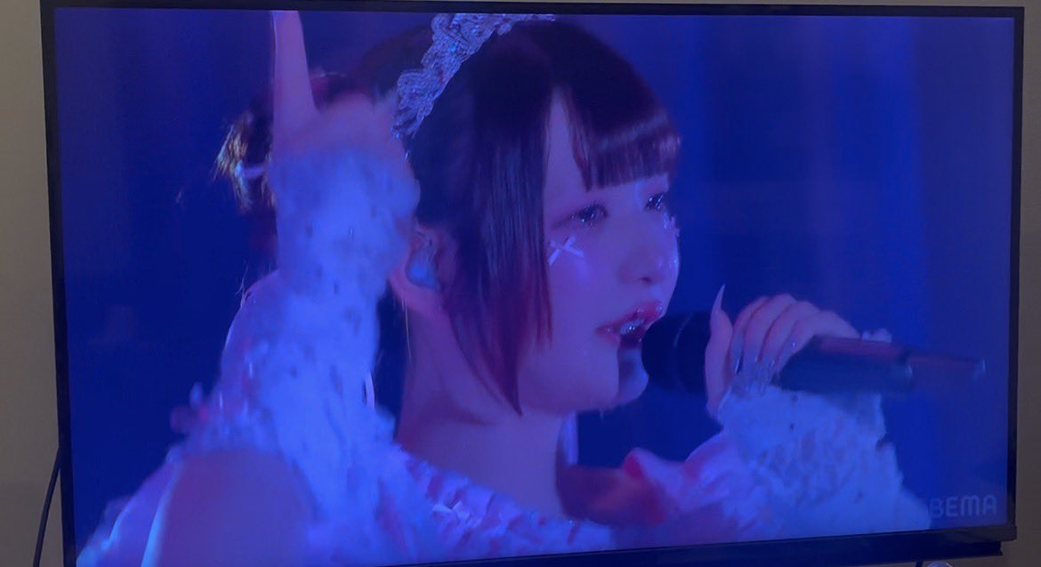 こんばんパピヨン tweet media