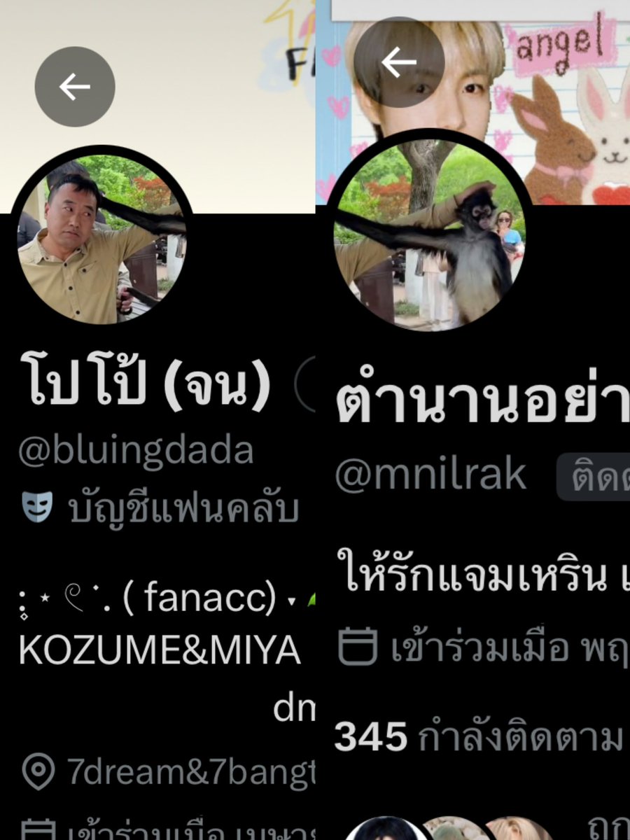 โปโป้ (จน) tweet media