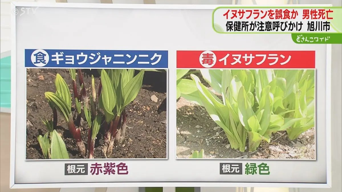 置き猫 tweet media