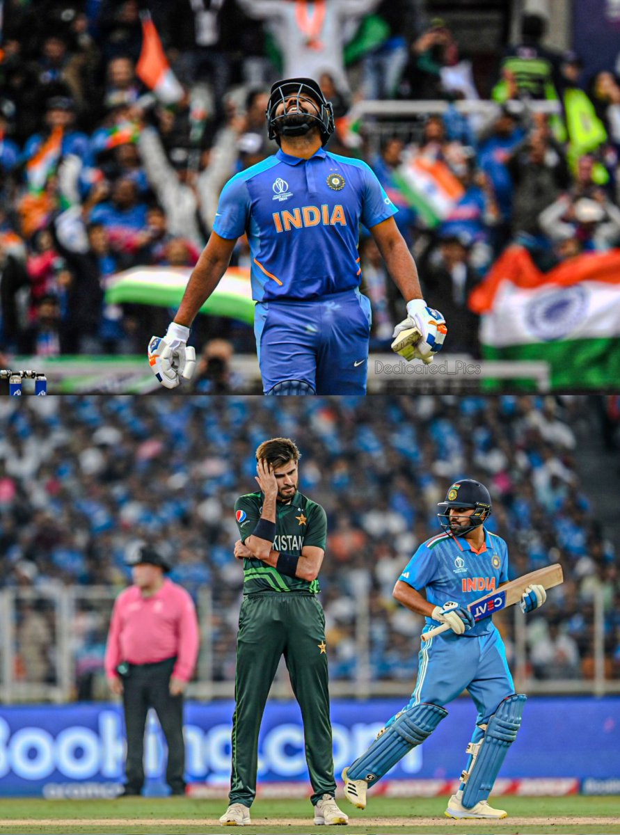 Dedicated_Pics tweet media