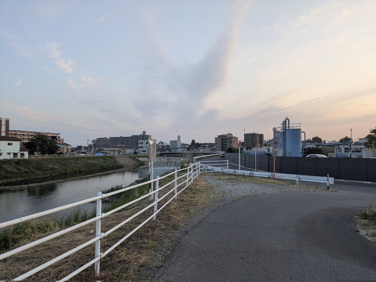 花式葵 tweet media