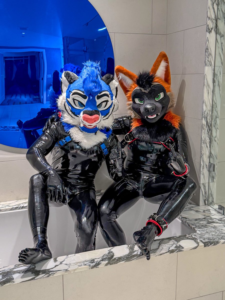 BeefyTheTiger's tweet photo. Join us for a shiny bath? ✨

🍊 @ADedranWolf 
📸 @XaiCorrupted https://t.co/Wrw2Mgseig