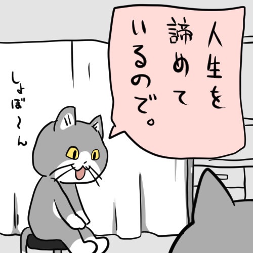 おじさん tweet media