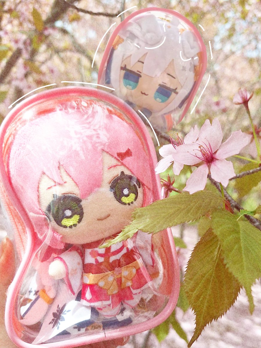 マキガイヘ tweet media