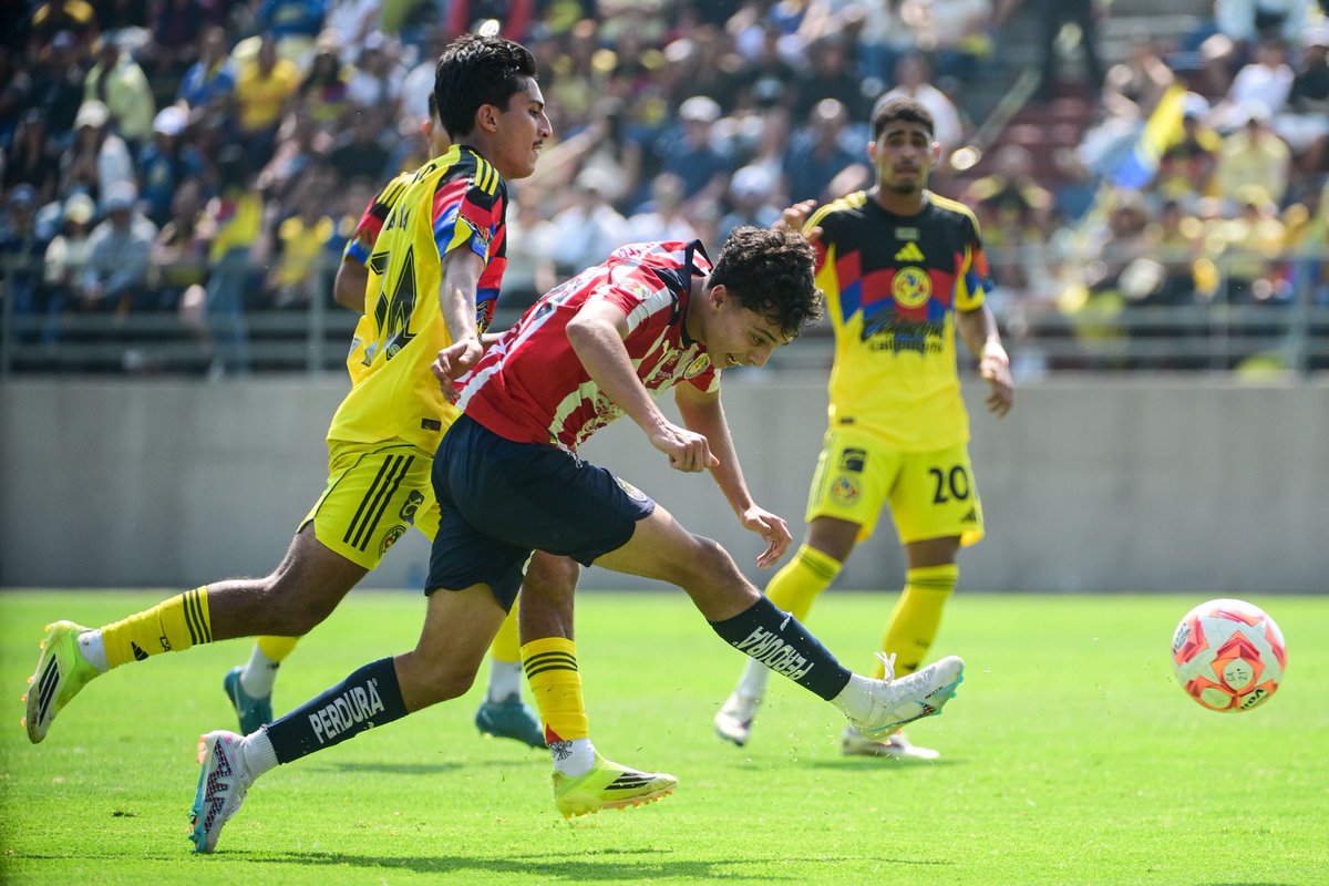 Cantera Rojiblanca tweet media