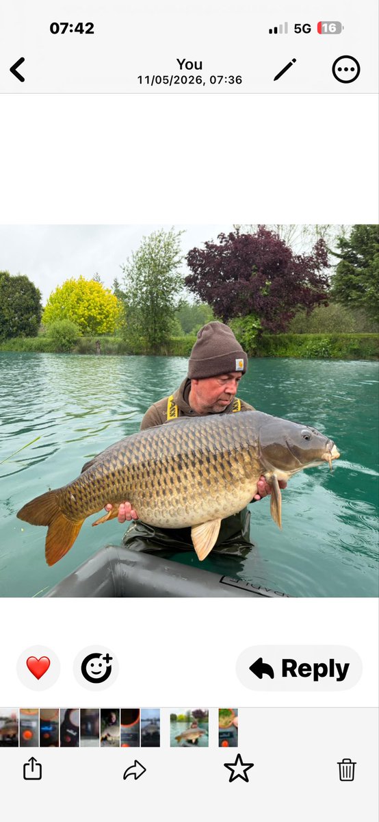 JakeJonTaylor's tweet photo. 🔥 SESSION OF A LIFETIME! 🔥 
Just got back from Jurassica in France 🇫🇷 
I was on the fish from Sunday and it just got better from there. 17 fish for the week with the average weight being nearly 50lb. Broke my PB at 61lb https://t.co/EZP9URPLLB