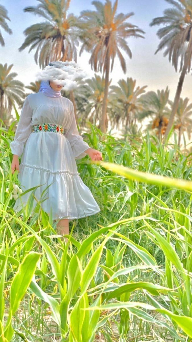 نور العراقيه tweet media