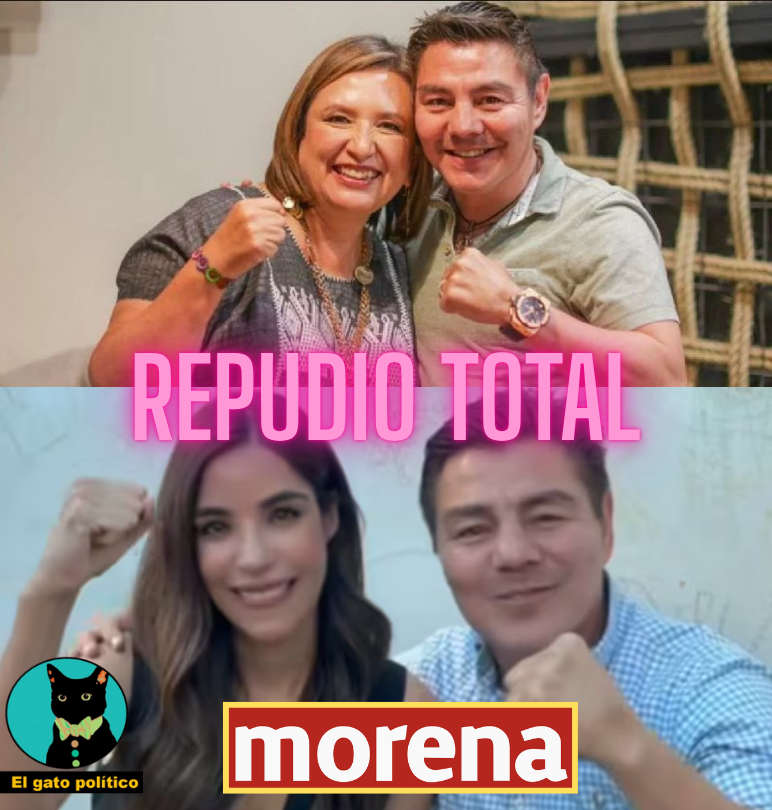 El gato político tweet media