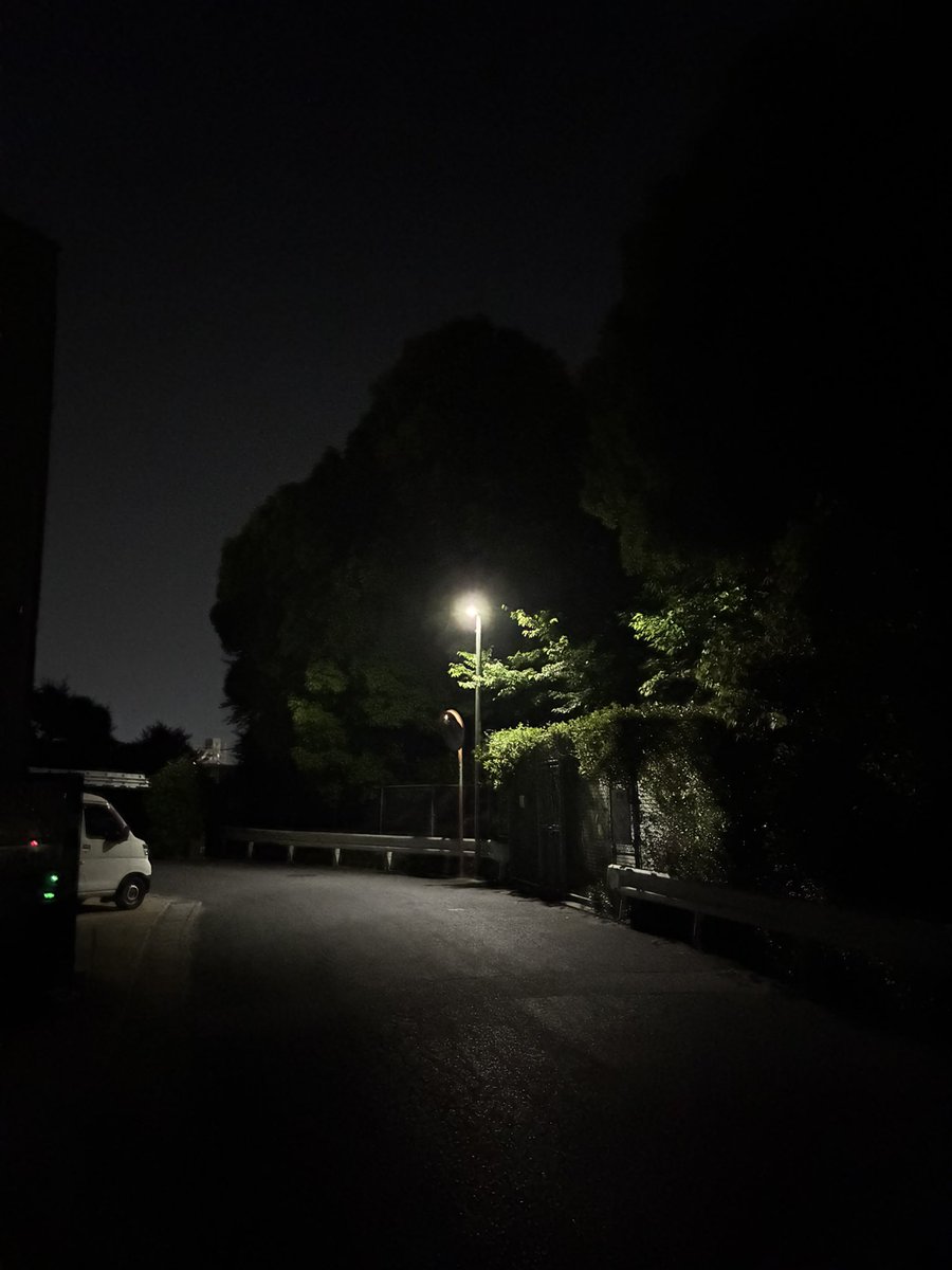 毎日馬鹿 tweet media