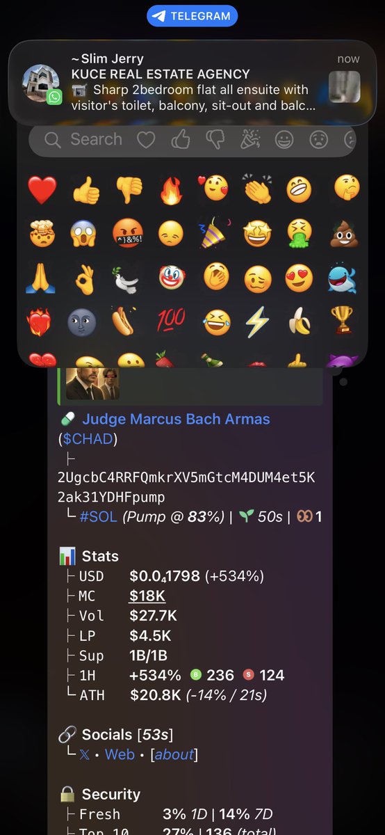 Toro Flipa tweet media