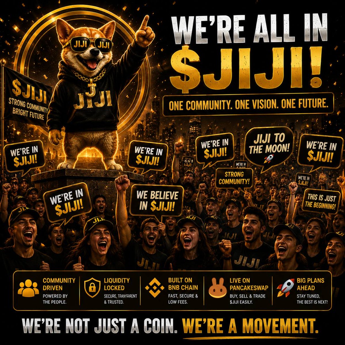 JIJI COIN OFFICIAL tweet media