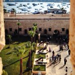 Photo by Youssef Mohamed (@Youssef_mo2000)