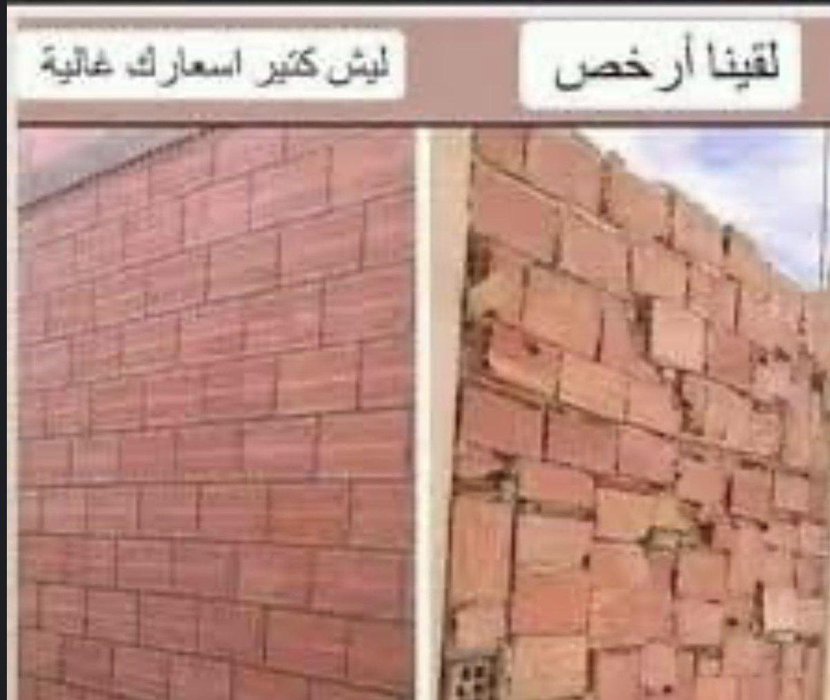 بهاء tweet media