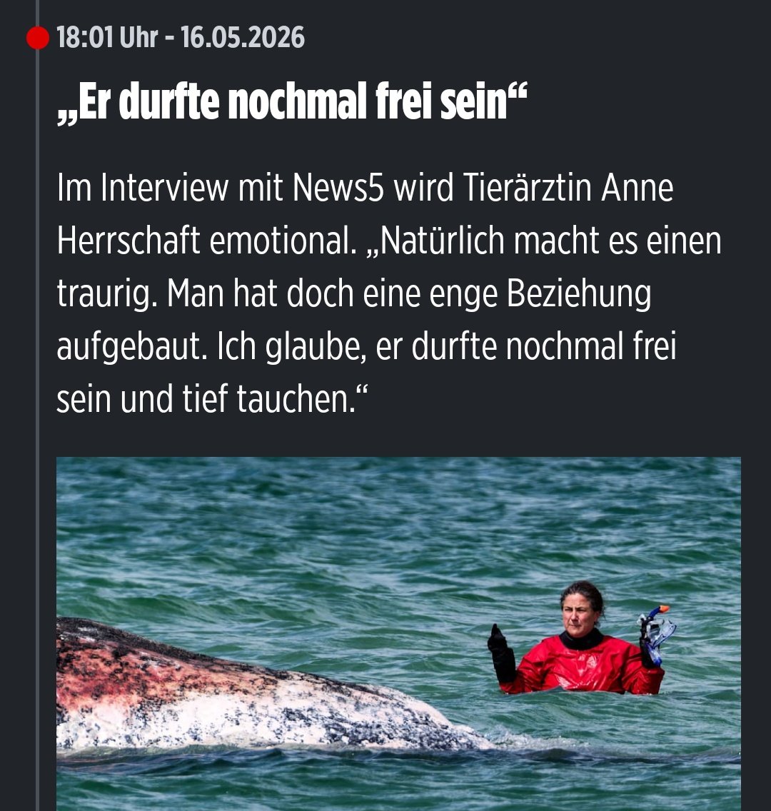 Siegvarg tweet media