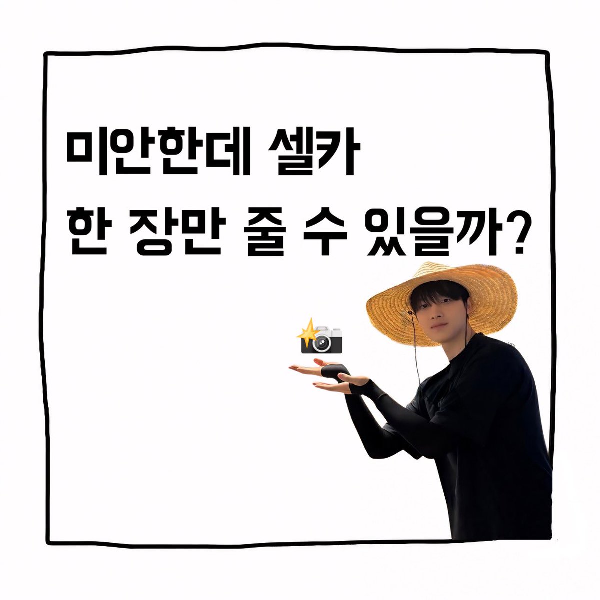 식물스틱 tweet media