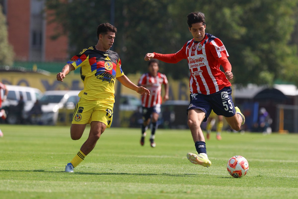 Cantera Rojiblanca tweet media