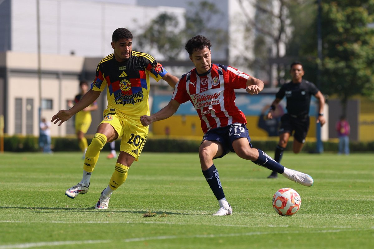 Cantera Rojiblanca tweet media