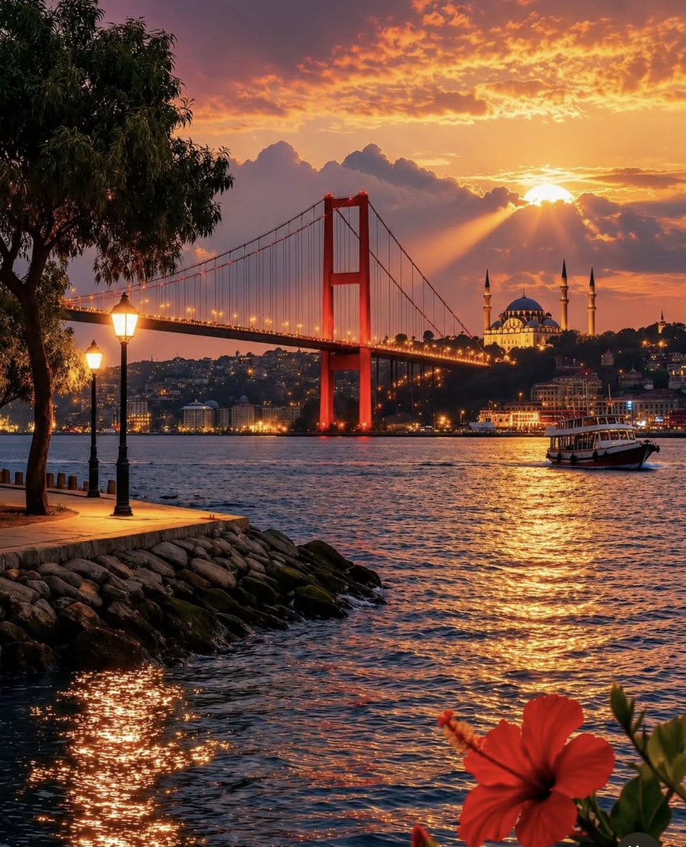 Yuksel Usluduran tweet media