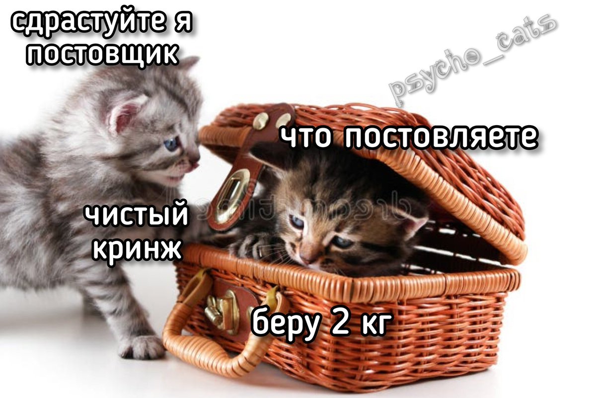 Айтишница из Тбилиси tweet media