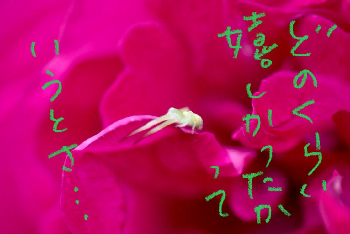 ちっち tweet media