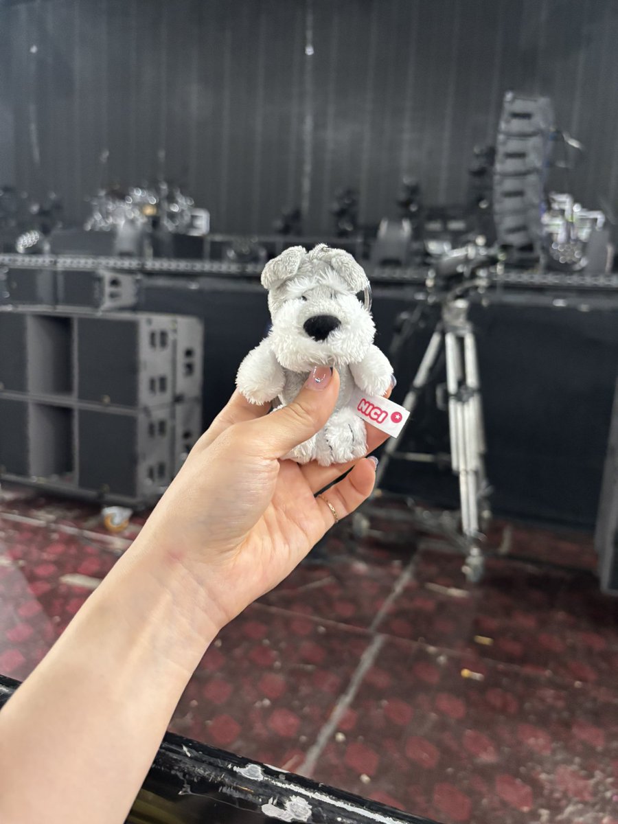 はる🐕ell tweet media