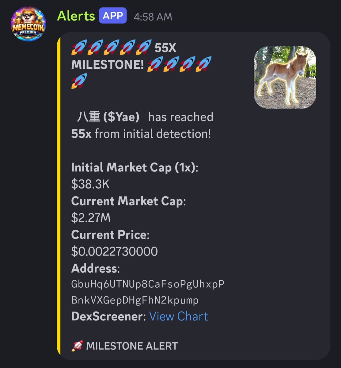 ChickyOnSolana's tweet photo. 🚀 55x Call Today In My Discord Server!

Join To Never Miss Out On Future Runners Like This One!

MemeCoin Bot Has A 70% Win Rate!

#Crypto #Memecoins #Solana #Premium #Trending #Viral

https://t.co/y4uMGJ8xYN https://t.co/wogDUGz9ne