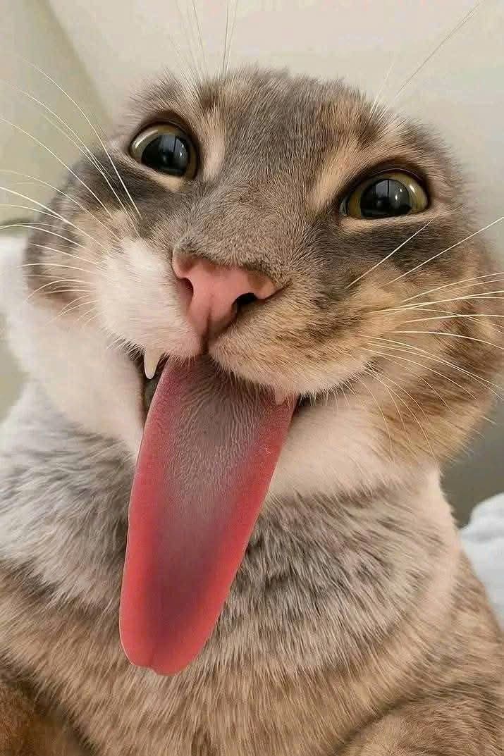 DavidWo68574356's tweet photo. @CSR_2025 https://t.co/lPLc2dtRjD