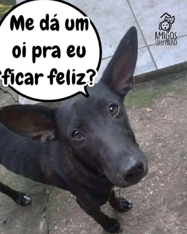 nicoly ☆ tweet media