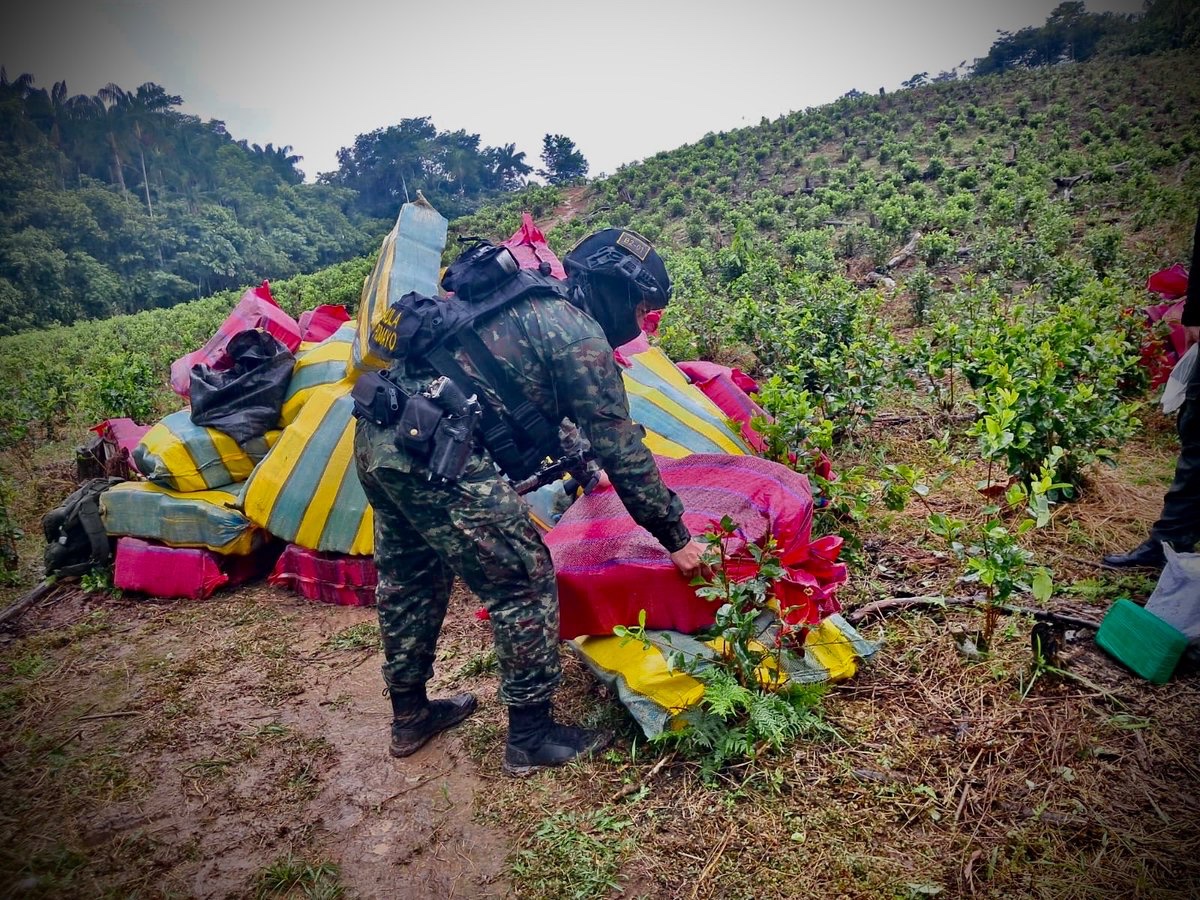 Ejército Nacional de Colombia tweet media