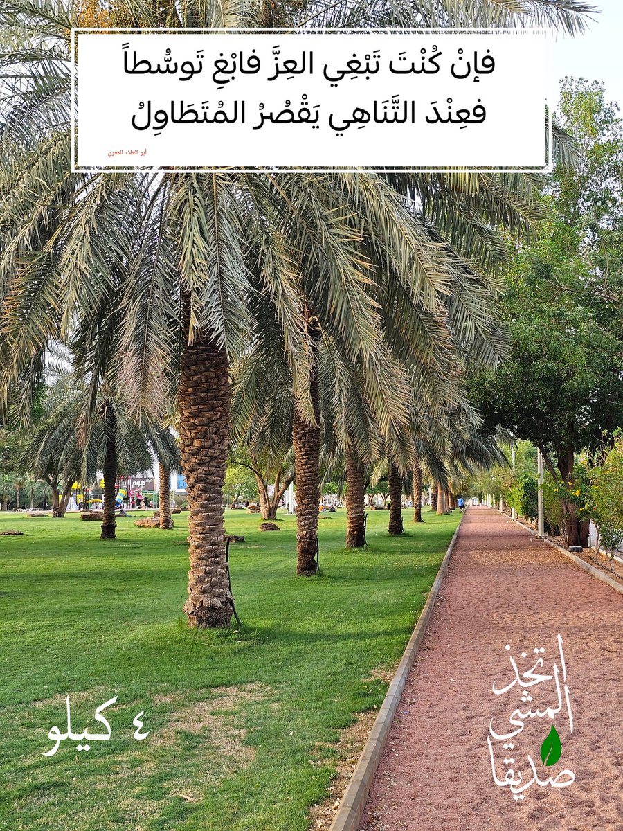 ♢🚶♂ممشى و مشي 👍🏻 ♦ tweet media