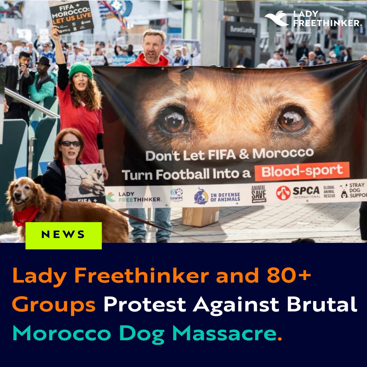 Lady Freethinker tweet media