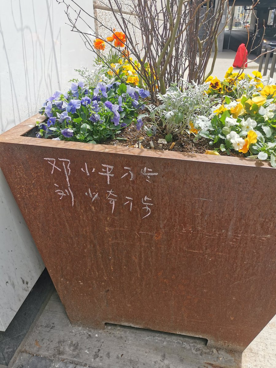 reboot0719's tweet photo. @D162Michele Some comrade in Toronto wants to dispute that.
Me, personally agree with you https://t.co/uMlIU8eLm4