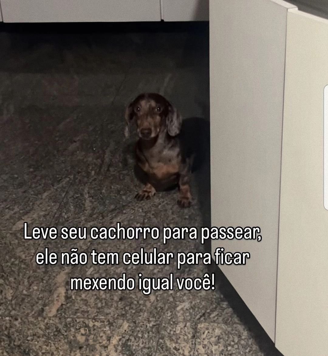 Pagina lixo tweet media