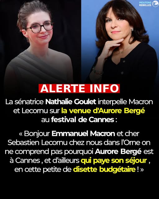 Jacques Renardiere tweet media