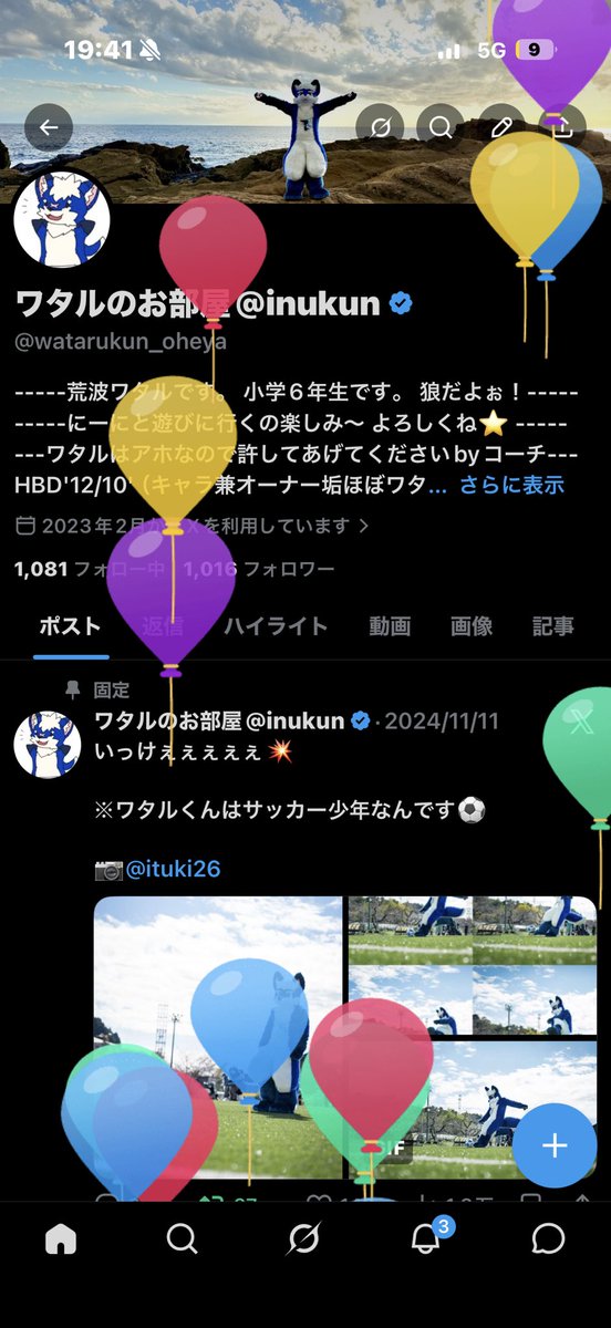 ワタルのお部屋@inukun tweet media