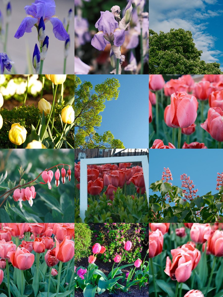 DarrenChen528's tweet photo. Calling everyone on Earth.
Spring check‑in from my corner of the planet.
Show me yours — your sky, your flowers, your colors.
Aliens scrolling today… you’re invited too 🌸👽

#springaroundtheworld #globalphotography #springvibes
#花の写真 #春の色 #世界の春 #地球の季節 https://t.co/L3uZXTwKuJ