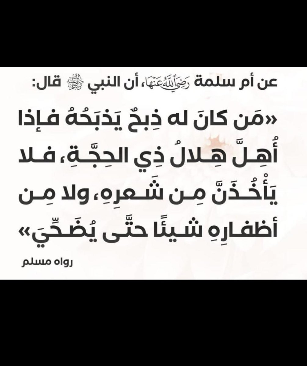 YPyGWM29KjOrZAm's tweet photo. من كان له ذبح يذبحه https://t.co/W3KuXZfOLX