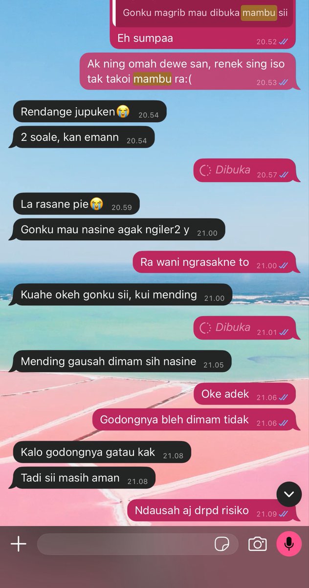 🌸 tweet media