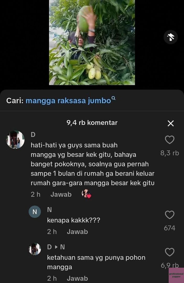 YAPPINGFESS tweet media