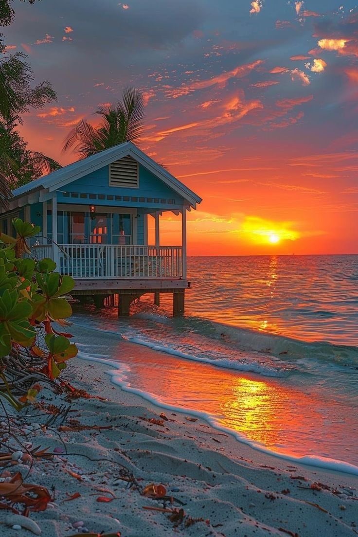 Earth Pictures tweet media