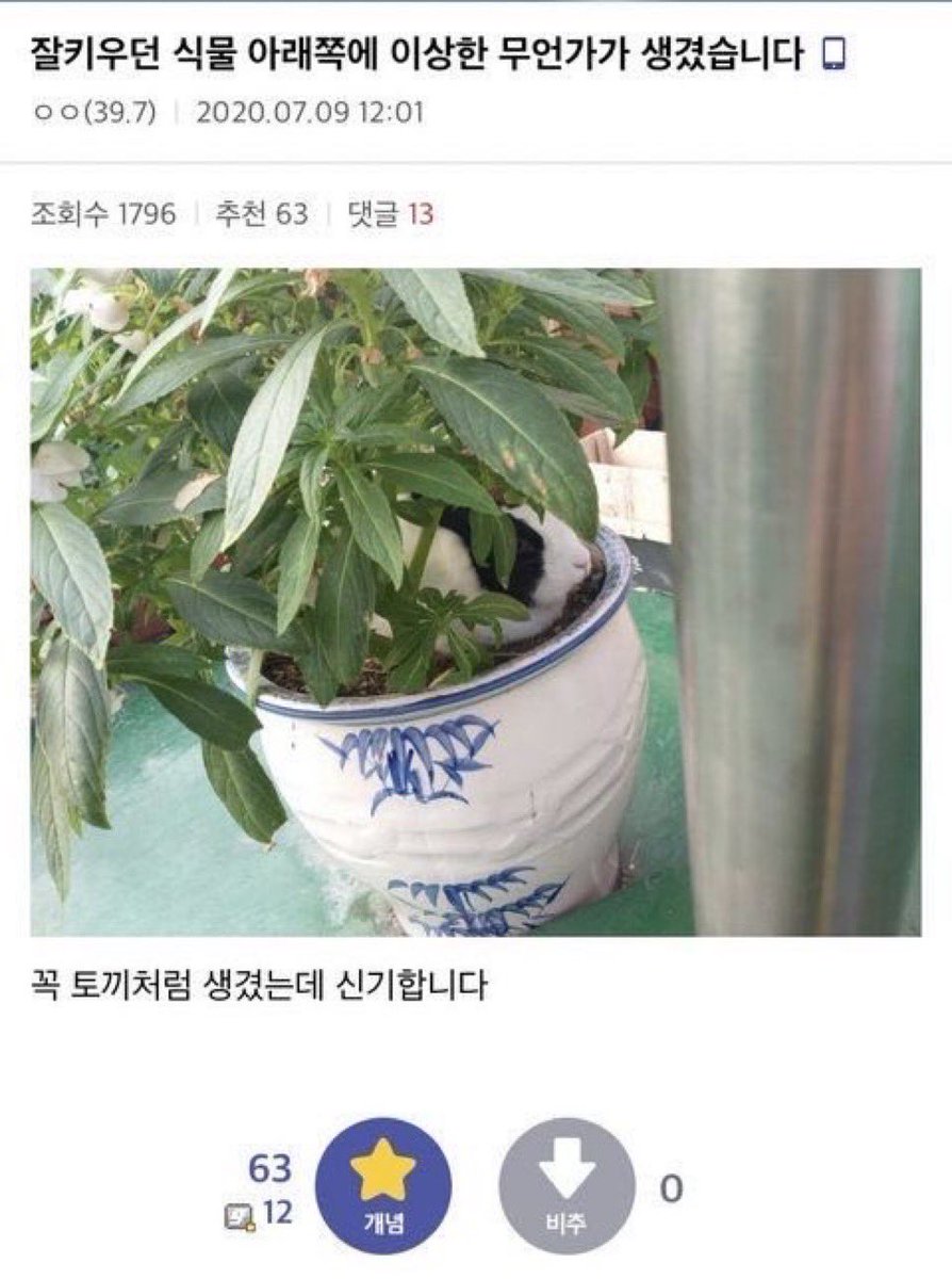 뭐지!! tweet media