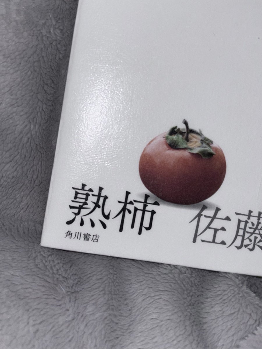 To_a_oM's tweet photo. 積読してる本を視界の片隅に追いやり、新しい本を読むのだ✌🏻ᴖ ̫ᴖ✌🏻🎶佐��正午の熟柿❣️ https://t.co/1ybzYinuVd