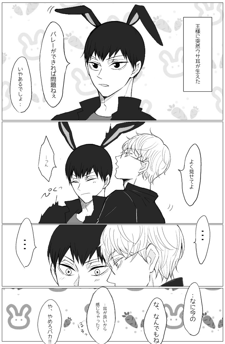 koto tweet media