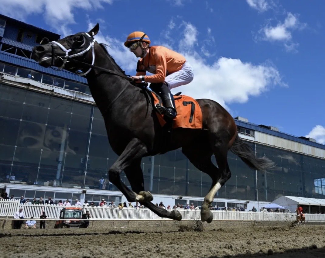 racingwrongs's tweet photo. Horse Hit Zero collapsed after crossing finish line at #LaurelPark &amp; died Friday, sparks renewed criticism before #Preakness
#PreaknessStakes #AnimalCruelty #AnimalAbuse #HorseracingWrongs #EndHorseracing #HorseracingKills #YouBetTheyDie #BanHorseracing 
https://t.co/OCavRBYUxW https://t.co/01ug9oIdYo