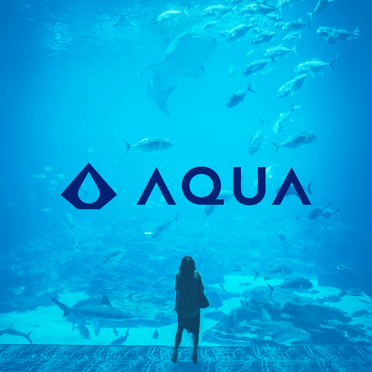 AQUA Wallet tweet media