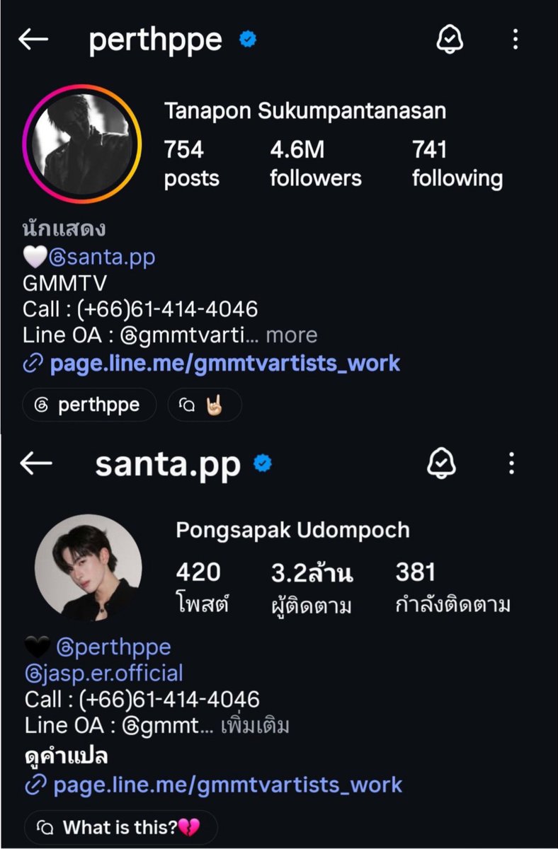 P.Perthtata tweet media