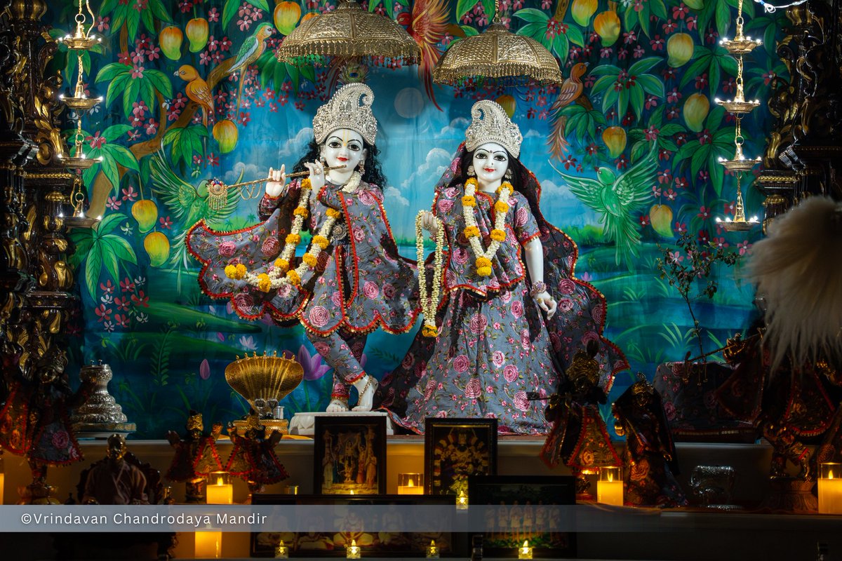 Vrindavan Chandrodaya Mandir tweet media