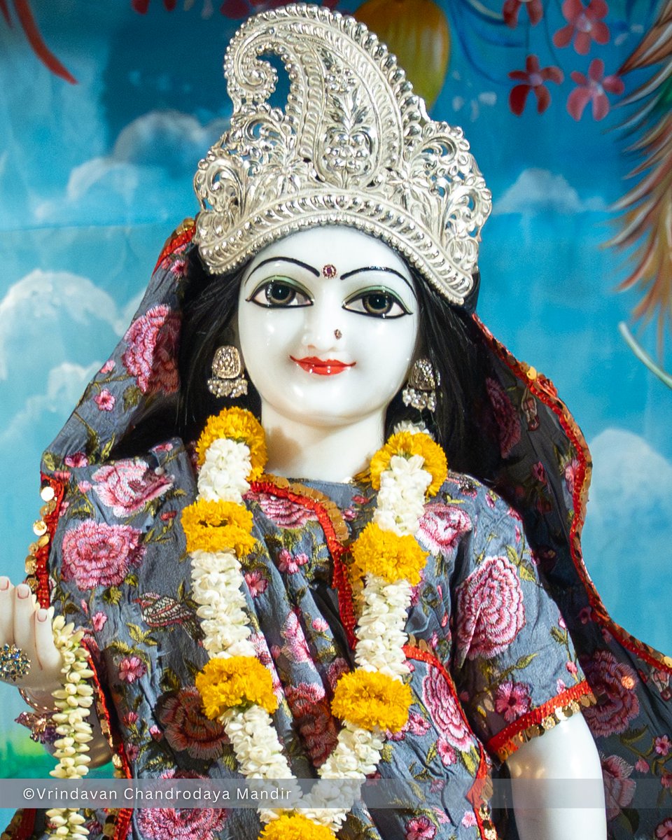 Vrindavan Chandrodaya Mandir tweet media