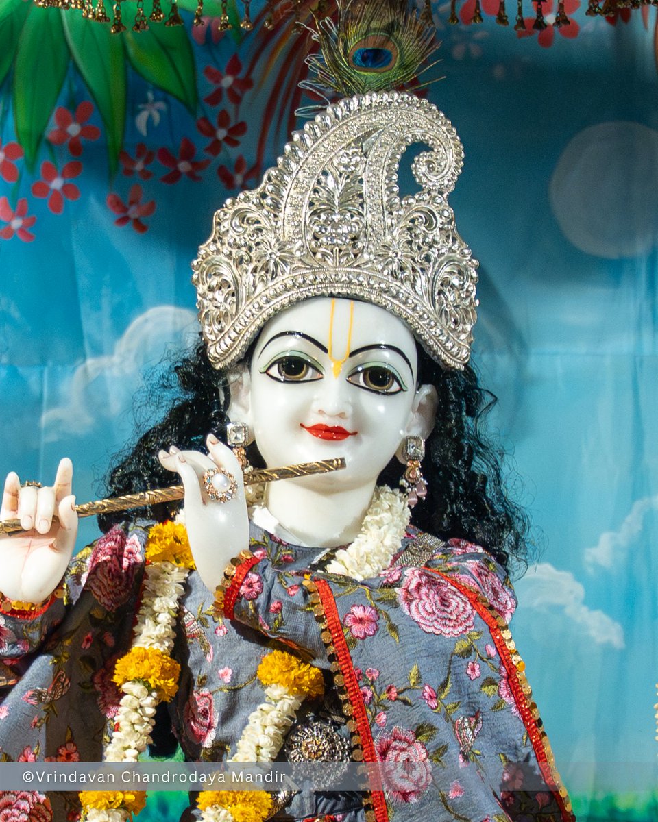 Vrindavan Chandrodaya Mandir tweet media