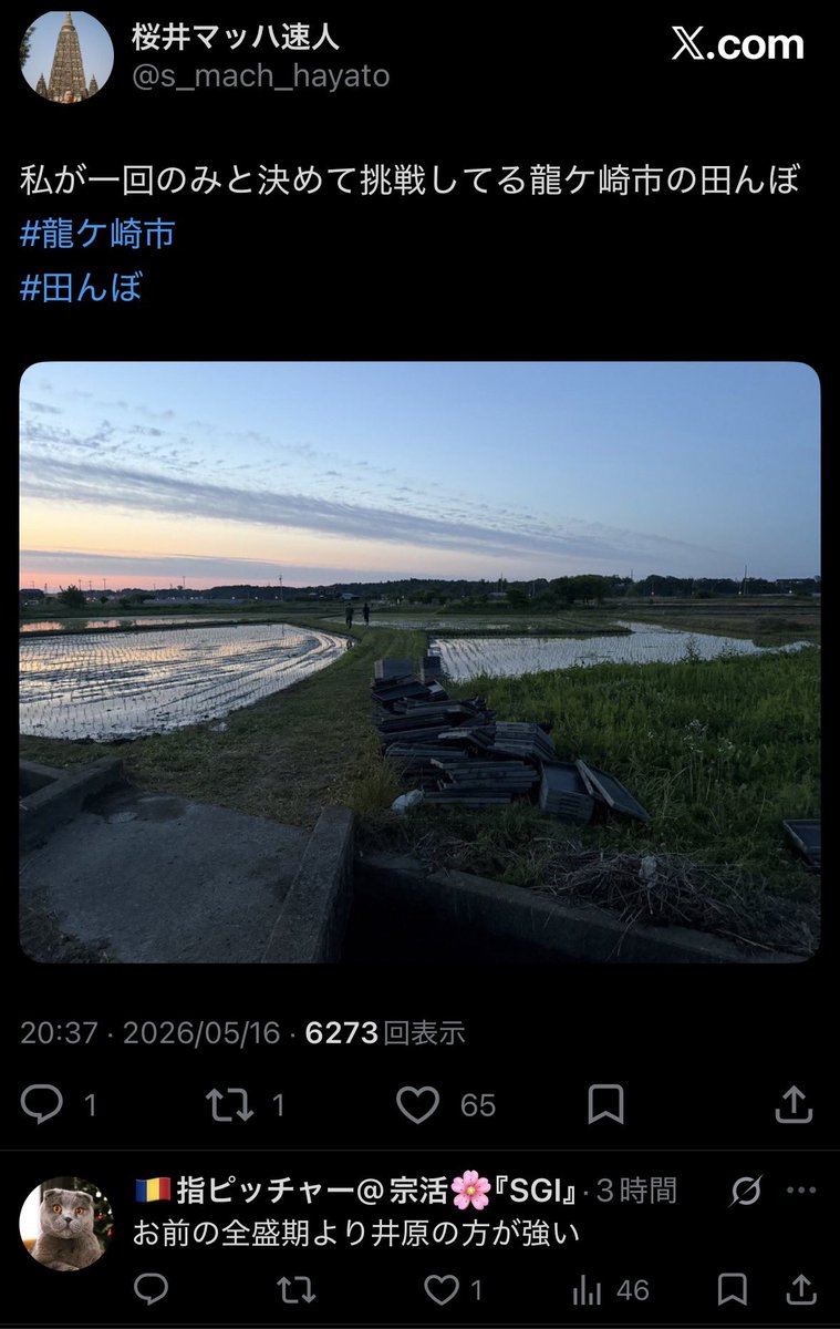 シェイドライブ tweet media